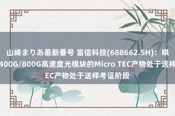 山崎まりあ最新番号 富信科技(688662.SH)：哄骗于数通400G/800G高速度光模块的Micro TEC产物处于送样考证阶段